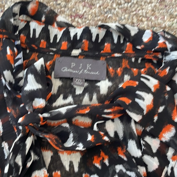 Sheer Button Down - Picture 3 of 5